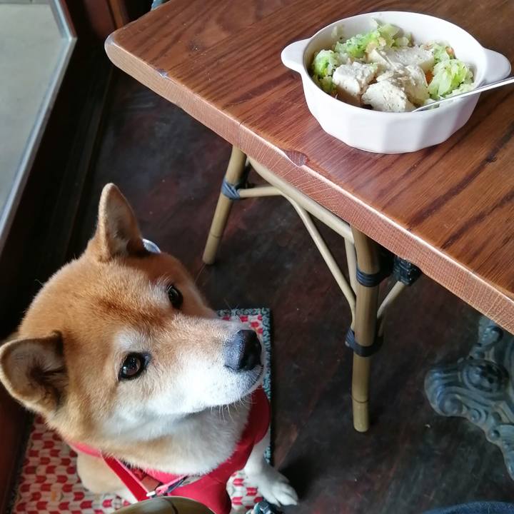 5b13cbce 2a08 4f12 9099 d32a86be7151 1673361511468