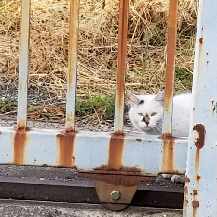 5b13d86a 1527 4501 a3df c0e2b83bb8d3 1615327787244