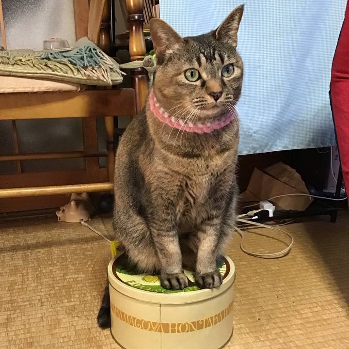 5b13dfd1 0500 4ce3 9c8e cbb9a09e5197 1744624211866