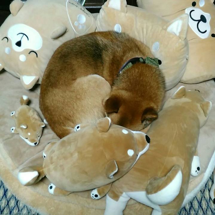 5b13f731 dcb2 41dd ac8f 55aced15c811 1528901349791