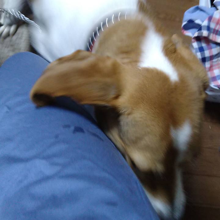 5b13ffaf 18f5 4be5 9675 117895e2d294 1621333349759