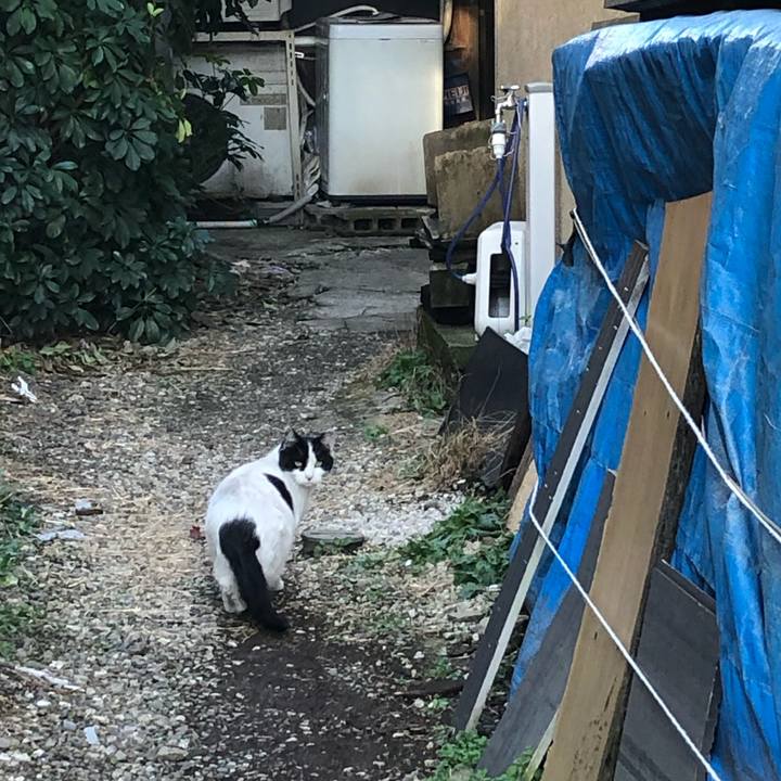 5b1409c6 6ffa 4eab 9174 8319a29987d4 1614441400890