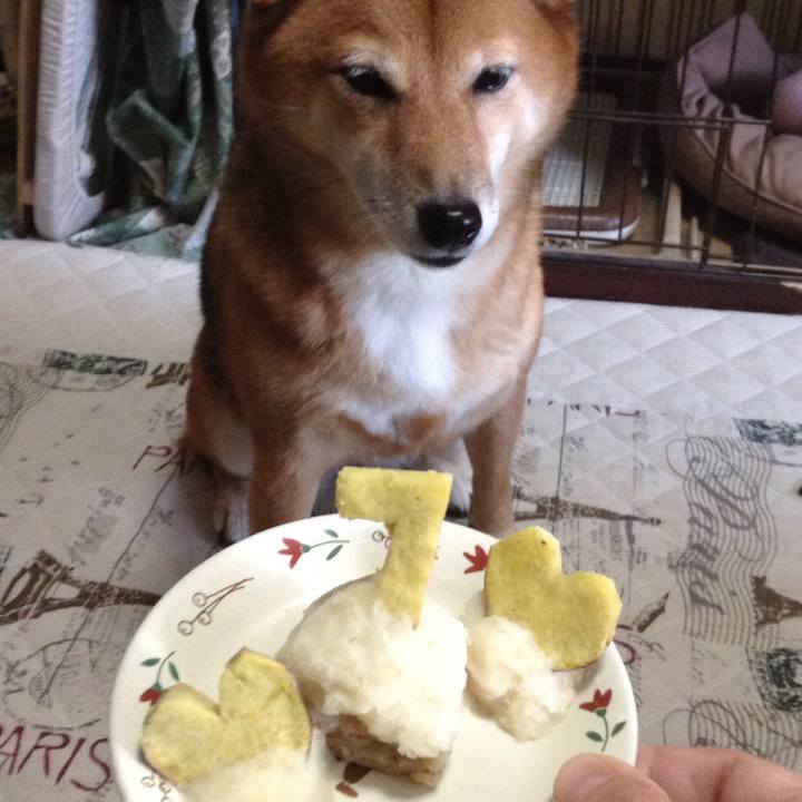 5b143e82 084b 4c97 9aec 8f1a36c7e9cf 1508736664691