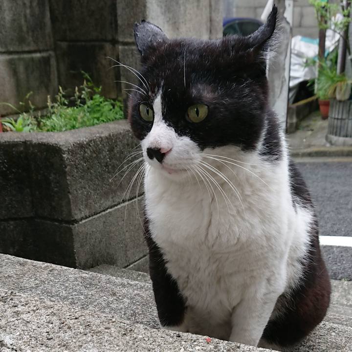 5b1441db 3952 4472 84ca 27af98df4c12 1561260909978