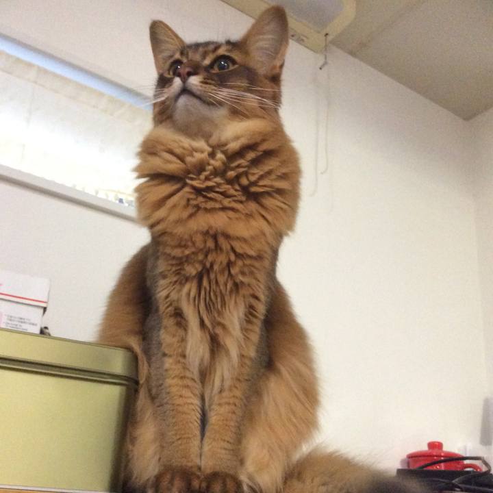 5b1466c6 aee7 48e8 8793 485645c70745 1622766904294