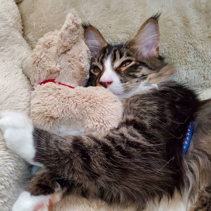 5b1495ee ae6b 4193 8507 033e05f3e382 1665553091291