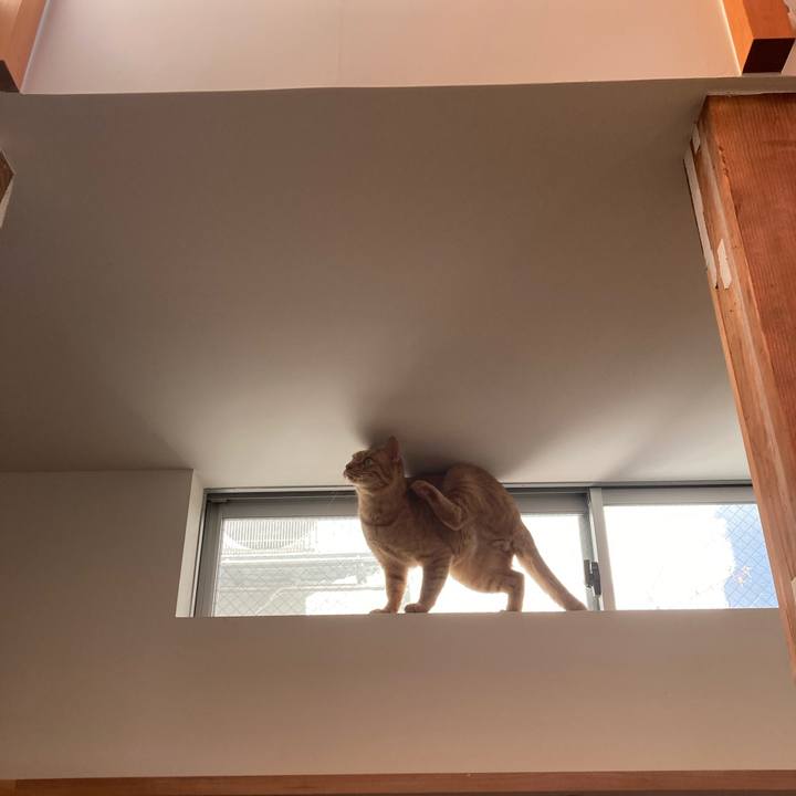 5b14a734 abda 4738 9811 ba8d978f8826 1677588827776