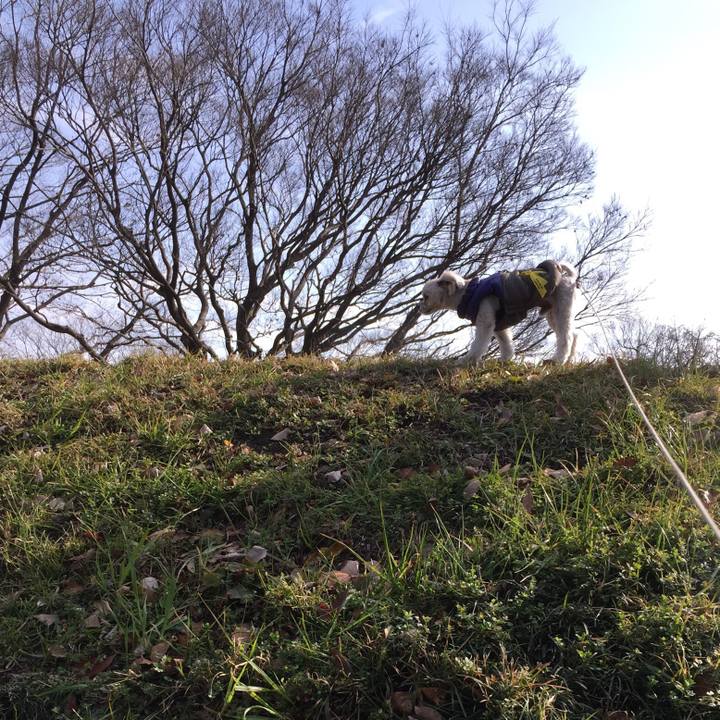 5b14ac3b e297 4402 afcc 15d18570938f 1516514503310