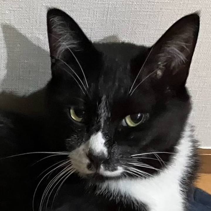 5b14b03b fd59 43d1 95ab 617f2551d650 1725088150205