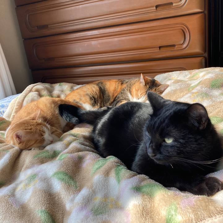 5b150079 ef85 4d9d a1f7 6b64316cebe8 1637287426876