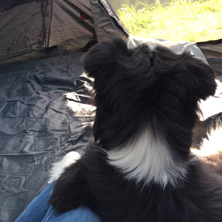 5b15479c 56b7 4c88 8409 867b9993448f 1539579145108