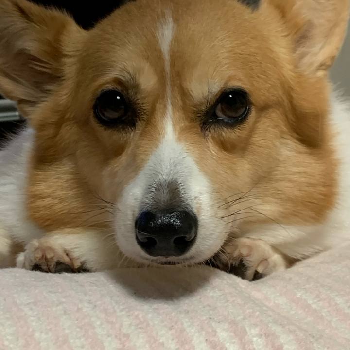 5b155f72 e6a8 4bc8 9760 31b46567f0de 1572170672501