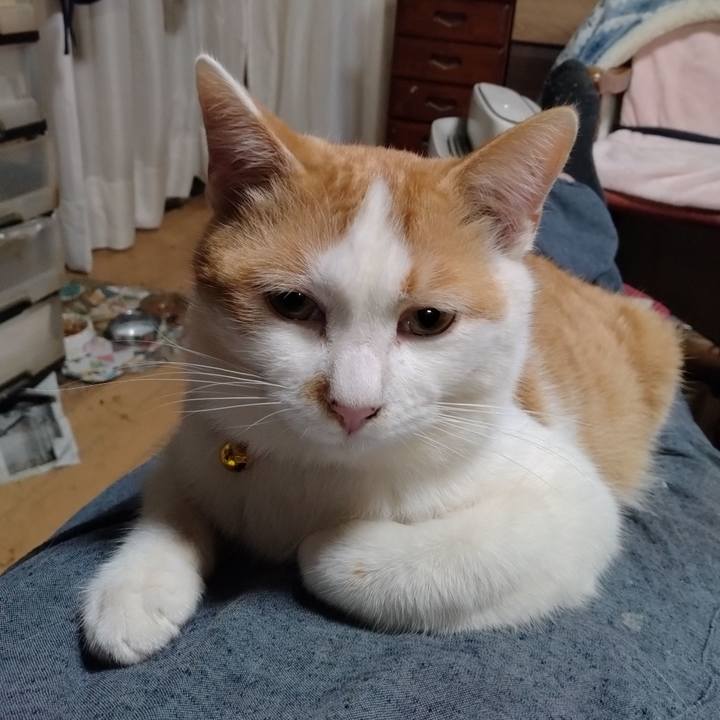 5b15a7e1 99ae 4f24 bda3 74ca3a2dfbef 1743075365296