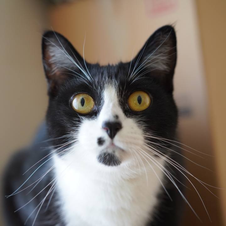 5b15c5e0 32e0 444a b603 fc7257d02023 1653719735520