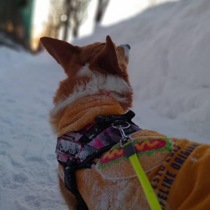 5b15d1f1 9cf1 45a8 ac14 0c1afde91e34 1770853698714