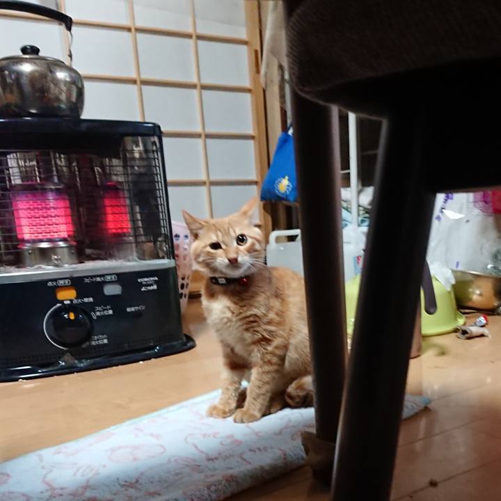 5b15e636 3ddd 4048 b911 0f66c242ac3b 1634507600300