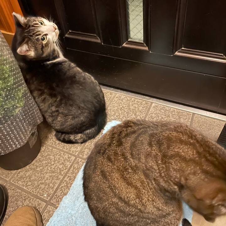 5b15e762 d87f 4a0e 8135 601c191db356 1611460289554