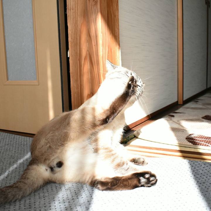 5b15ef8f 3639 47da bba9 a1a795d7dc4e 1510711965922