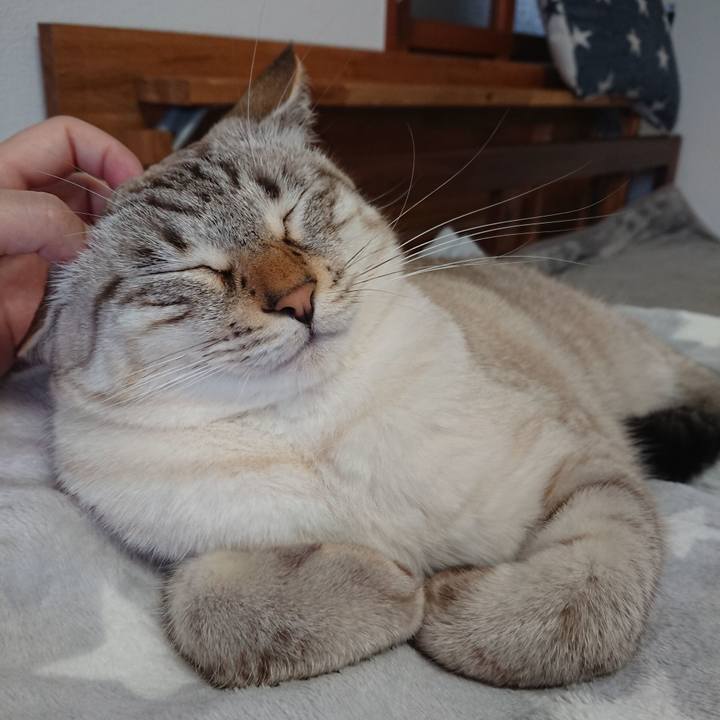 5b15f93a 3e7f 436a 8477 642dd50f9de5 1574474539067