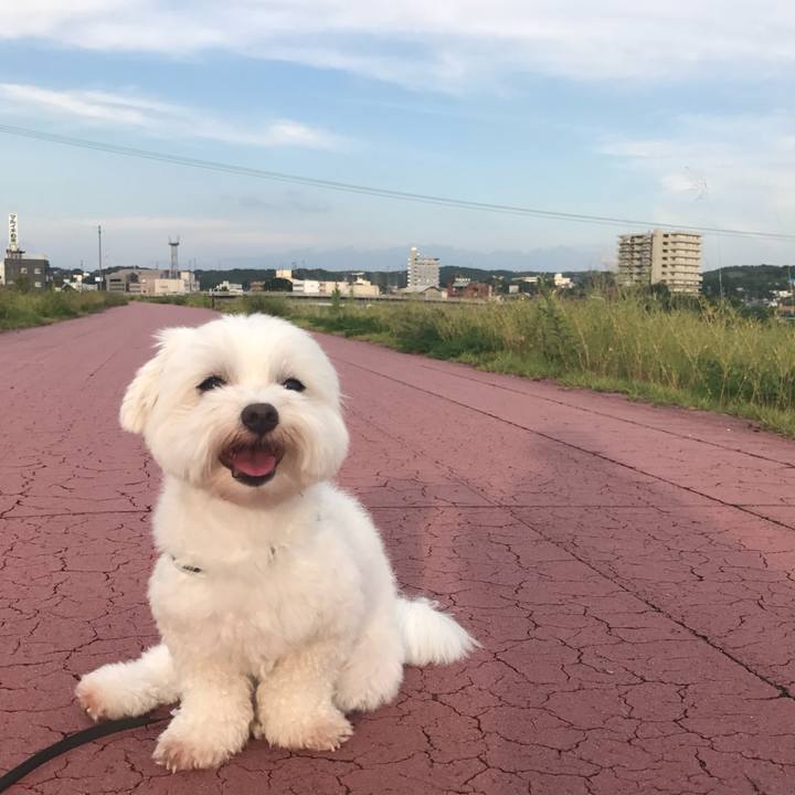 5b160c11 37bd 4868 a0bd 7f6def892466 1770160908719