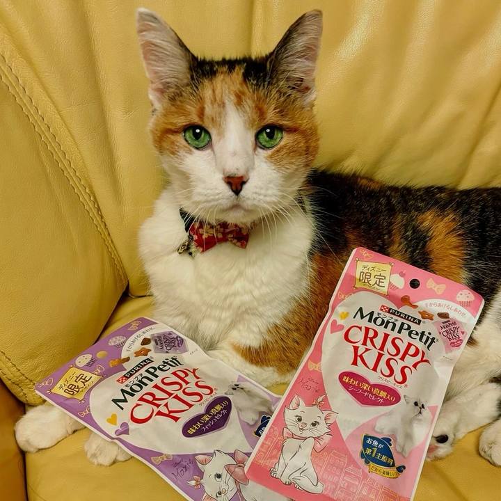 5b164c46 1daa 44bf bdb2 40b414ba97d2 1716626285986