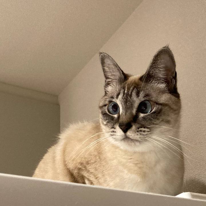 5b168d60 dbb5 444b bb82 881f692f8ece 1643620963386