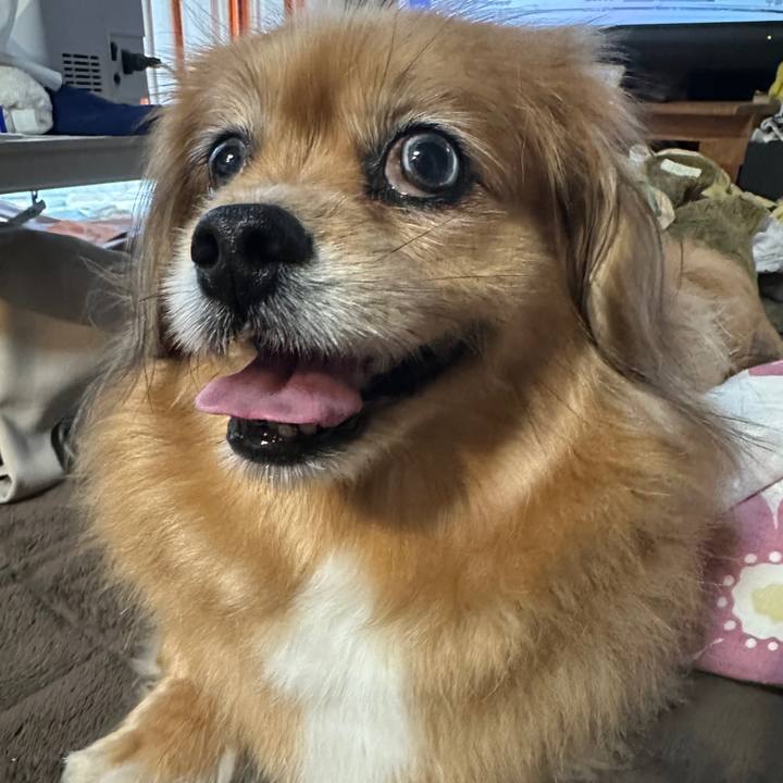 5b169664 f1df 419f 9f3a 299dcd83bb92 1750022304249