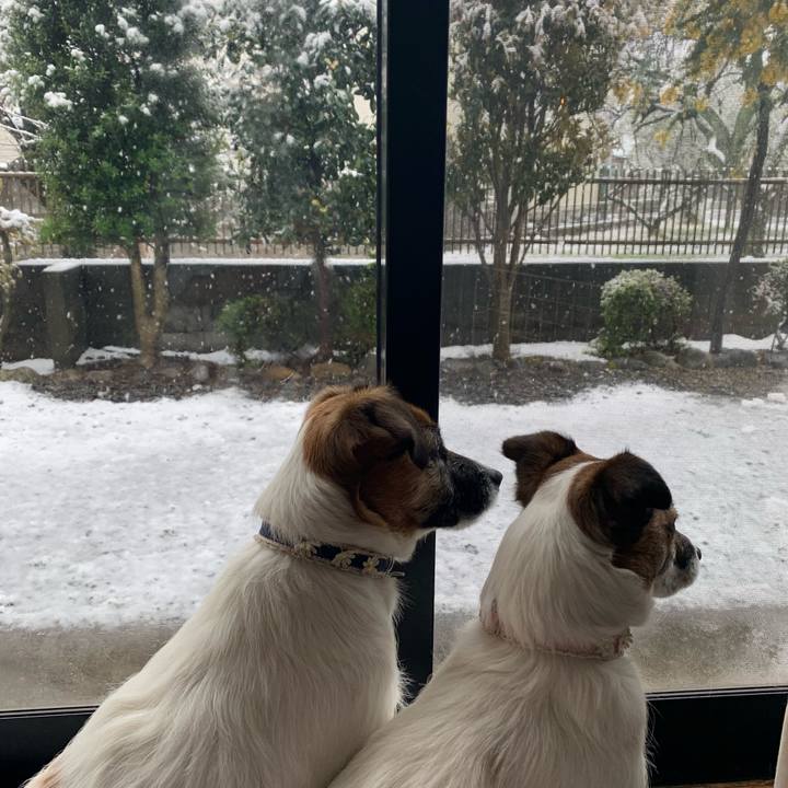 5b169a67 dca8 44e6 8fda 54f69cece0cc 1585449111901