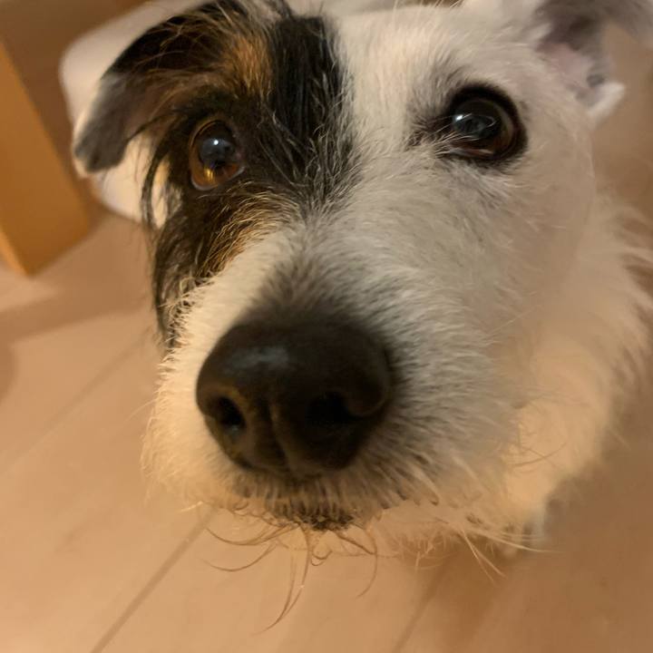 5b16a611 5958 446f 9b69 eed483e3e8e1 1587810165132