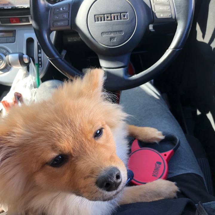 5b16a8bf 6ca7 43ab 86f9 055f1ff3ffac 1581314742568