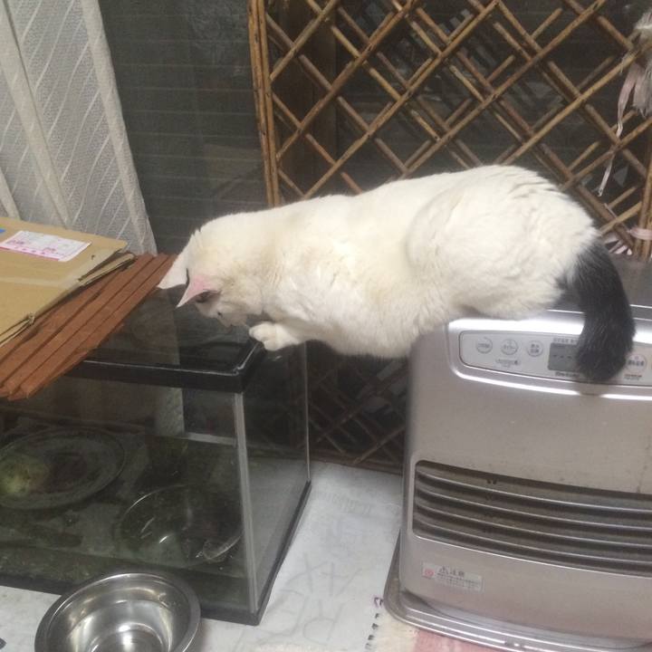 5b16d30c 6328 4367 b62b 34261419b2be 1555858780519