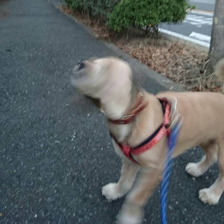 5b16ddbf be8d 4fbd 932a a36e8641e2e7 1510482616509