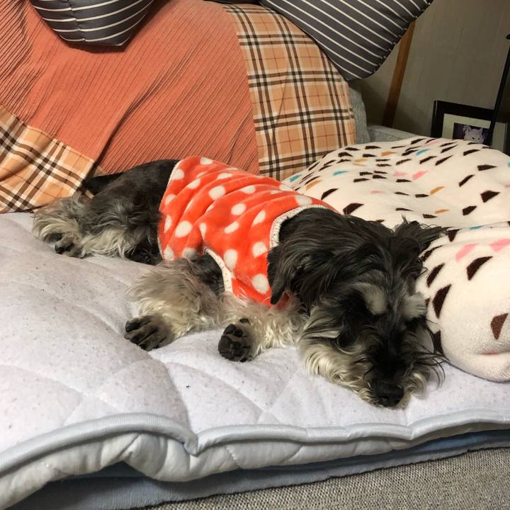 5b17195b cae2 4dbf 81b6 0aae66512060 1682686095816