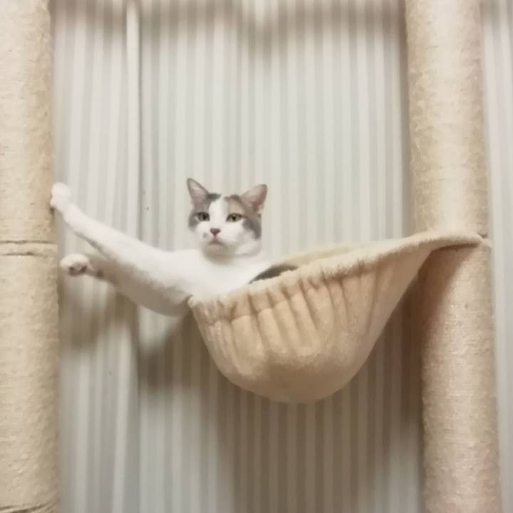 5b171dea d079 4c82 b2e3 46f55dbf223d 1613571029111