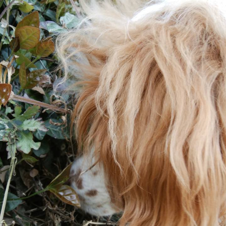 5b17af3e f147 4452 a7cc 193e4beaa645 1524224729807