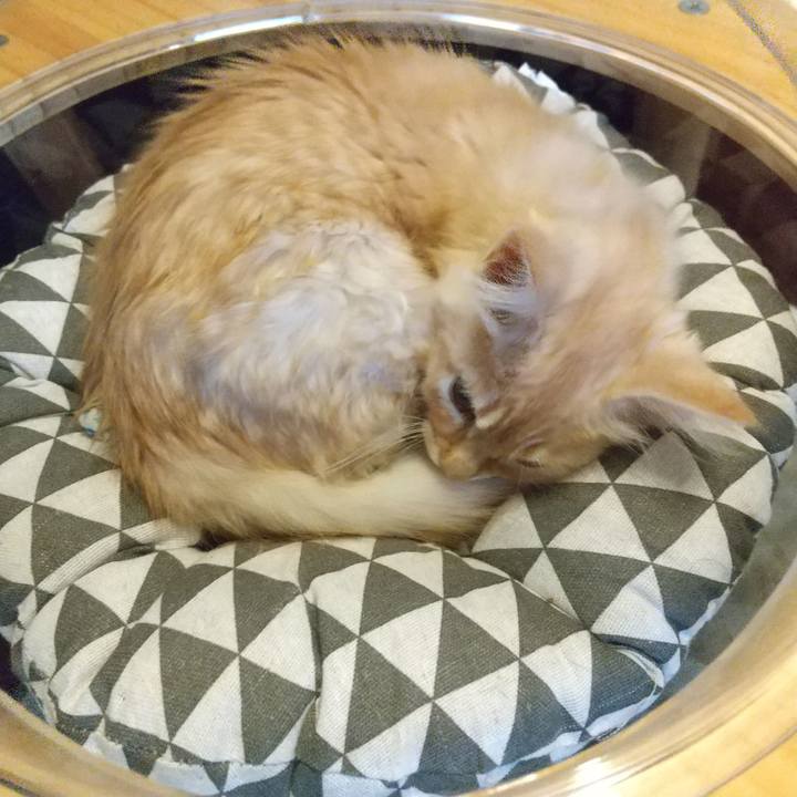 5b17bf5c ba2c 4380 a1c6 2e14eaf9263d 1606082328741