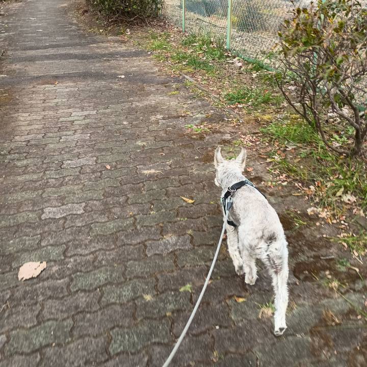 5b17fa26 93ad 4de6 a45b 03128c71842e 1764674173591