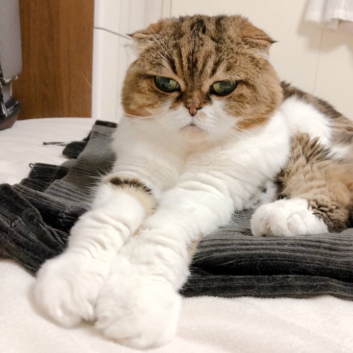 5b17fb9c 1c74 4b58 b4cf aa04e1eae1b1 1595522372164