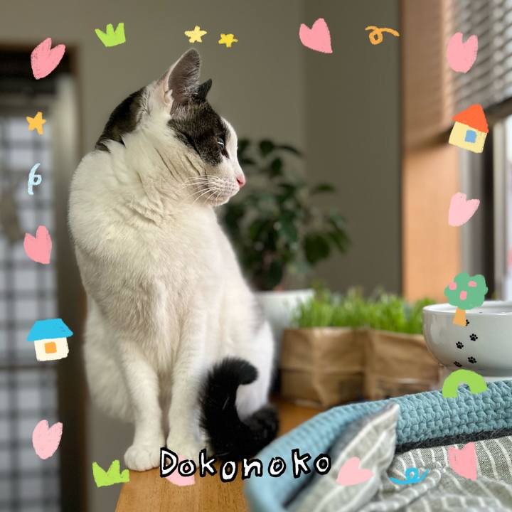 5b18222f 1426 4663 9493 4082242eba41 1741423975744