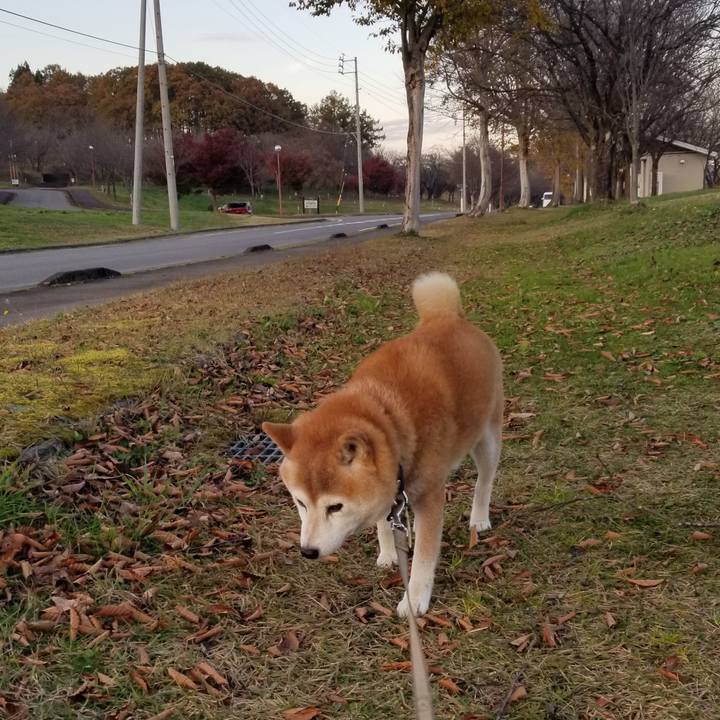 5b1856b7 efa3 4496 9ca4 4cb011952fb0 1700032785297