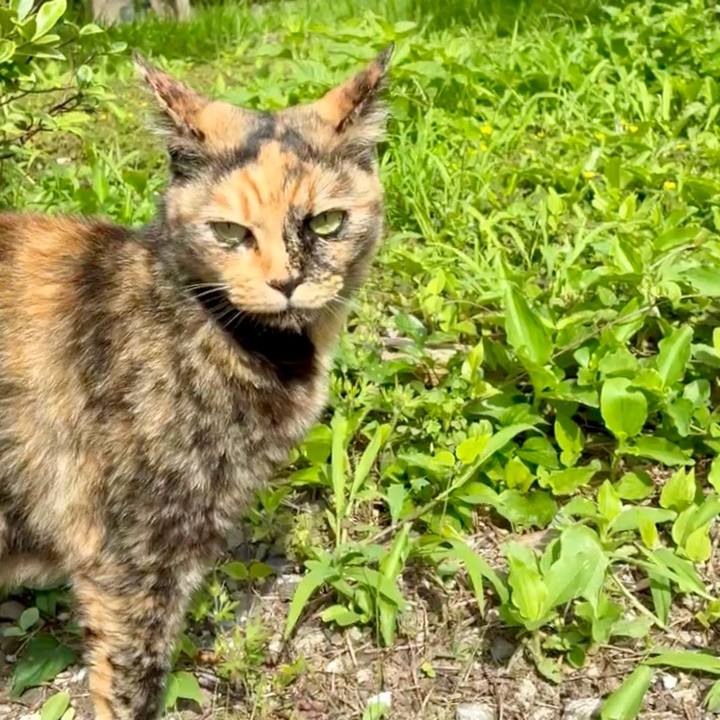 5b185b89 494b 4dfa a144 b8d0aaf730dc 1750386238346