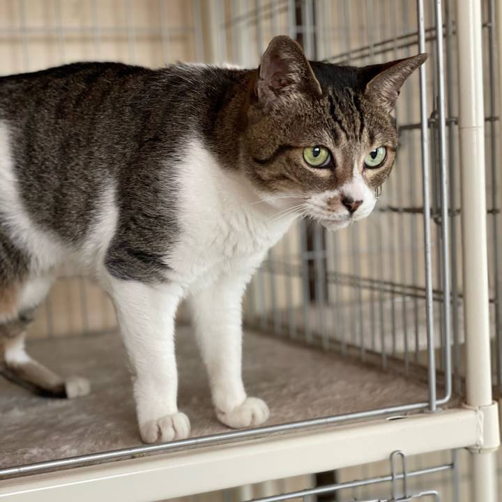 5b1886fe 6cf2 41b7 afb0 7c62cd9068b0 1634781467421