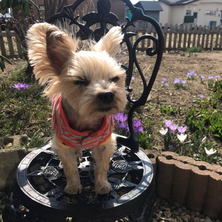 5b189bbe 1bbf 4e52 8a61 50c505e14b4e 1586078493247