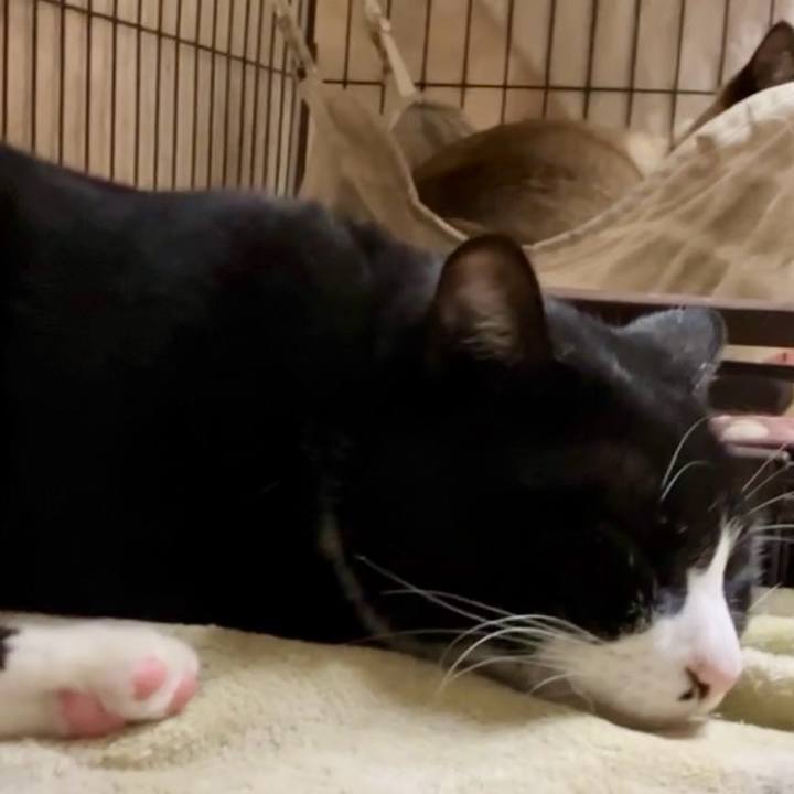 5b18b120 679d 47de af62 735d437afc46 1732181706796