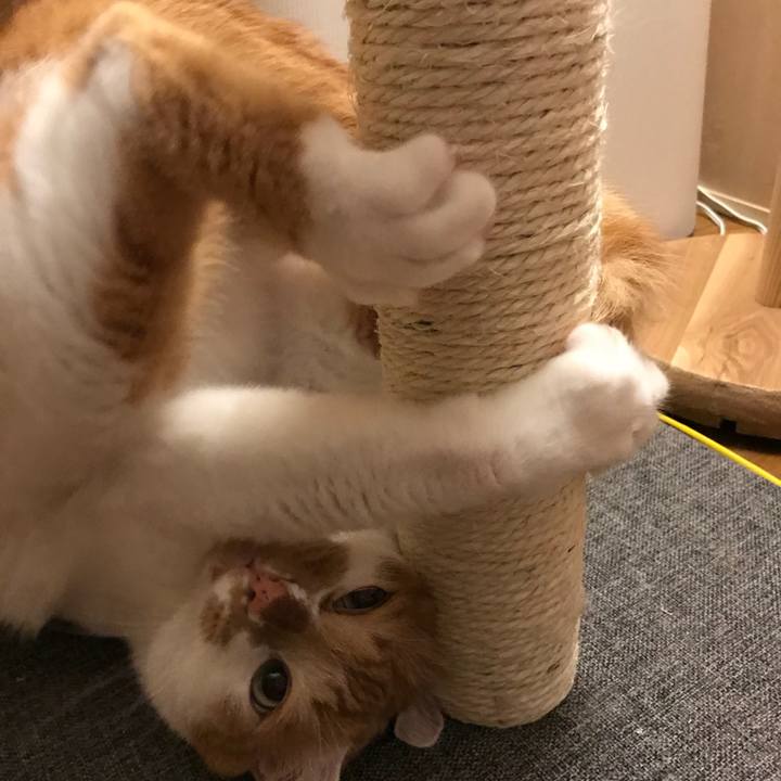 5b18b3fc aa7d 482b 9035 63af045f2454 1527068428115