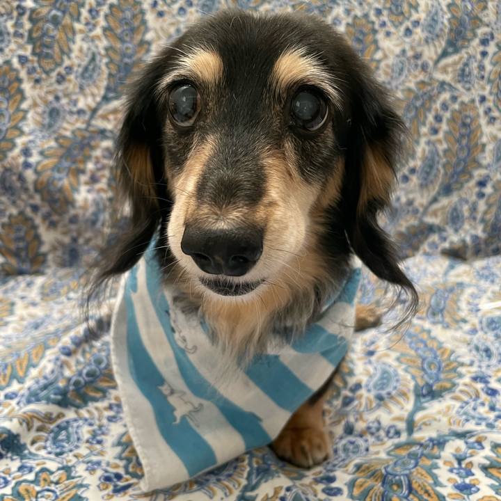 5b18ccaf 3990 45df 8721 b9f756aa1591 1694338149451