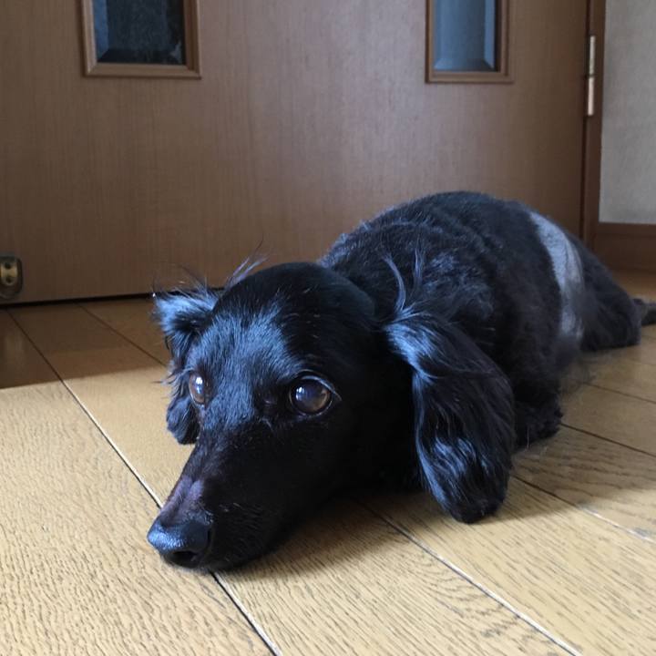 5b18eb13 4d88 431c 9e96 410ae14ce694 1532816094887