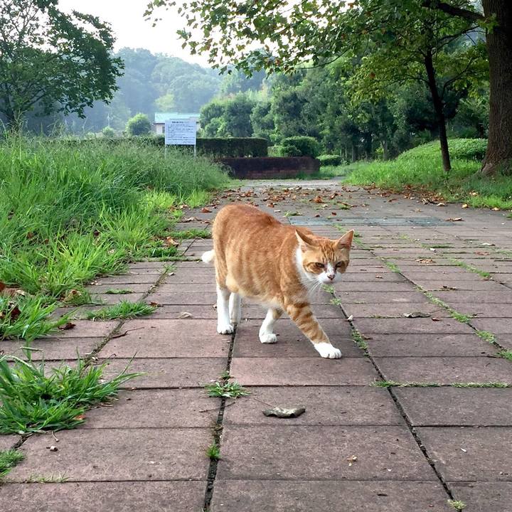 5b190fe6 f66c 4fe9 81c1 224a06a5d5d6 1535616982046