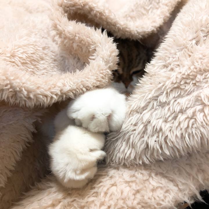 5b191240 d2aa 4bfa b7ef 2eb96faeff90 1545980422960