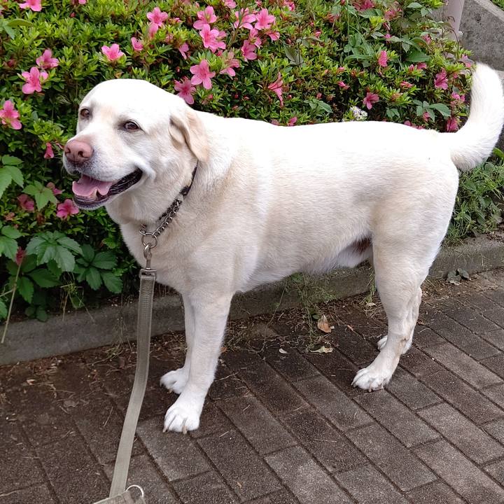 5b192305 c58e 4304 8dad d25137140aac 1653109370253